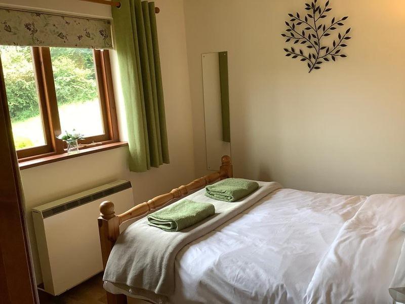 Ty Twt - Complete Holiday Home Llandysul Exterior photo