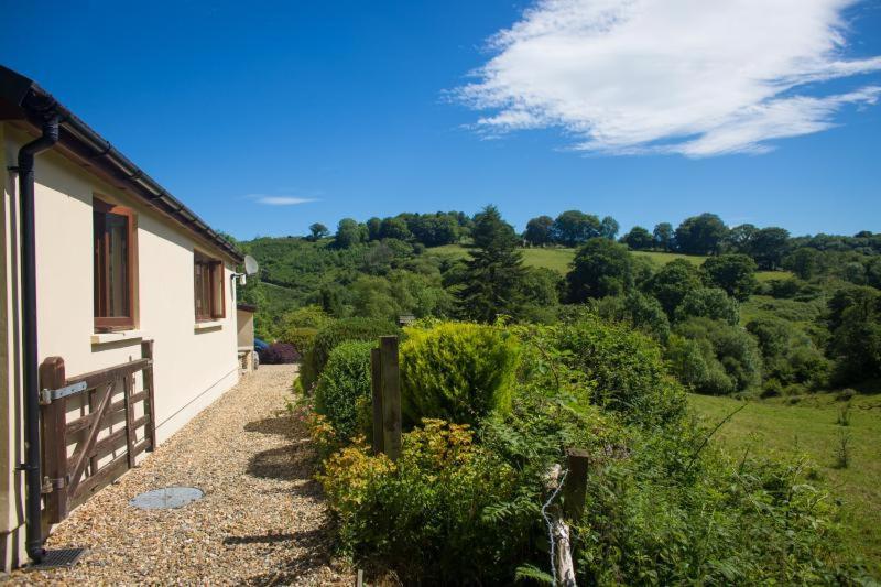 Ty Twt - Complete Holiday Home Llandysul Exterior photo