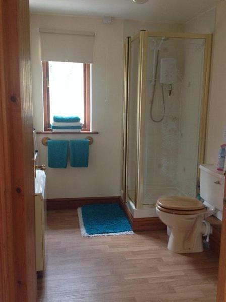 Ty Twt - Complete Holiday Home Llandysul Exterior photo